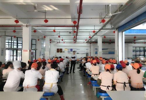 晨會(huì)賦能 翔宇嶼山堂餐廳管理的精細(xì)化與高效化之路