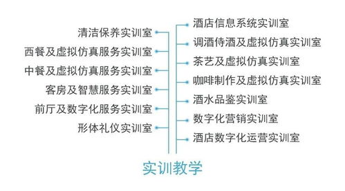 從酒店管理到數(shù)字化運(yùn)營(yíng) 專業(yè)名稱更迭背后的行業(yè)變革